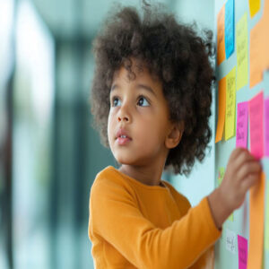 Organization and Goal Setting