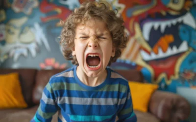 The Autistic Meltdown